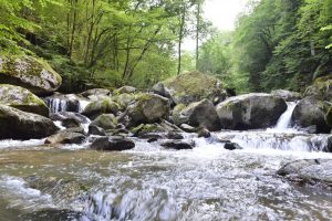 Pesenbachtal